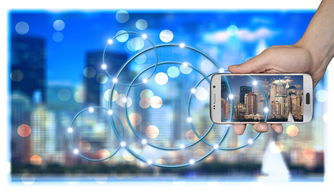 米兰体育app下载安装-中国青少年篮球发展政策实施及推广策略评估，青少年篮球发展趋势