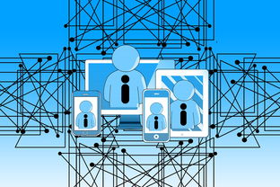 米兰体育app下载安装-中国青少年篮球发展政策实施及推广策略评估，青少年篮球发展趋势