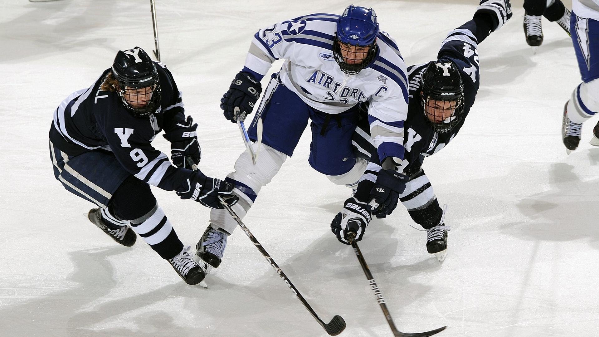 米兰app-体育赛事组织管理信息系统设计与实现，体育赛事的组织与管理 pdf