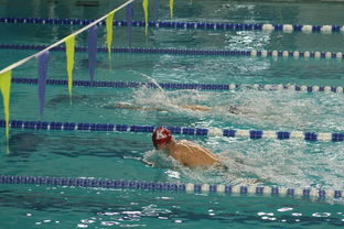 米兰体育平台登录入口-国际游泳精英赛中国队多人破纪录，国际游泳冠军系列赛