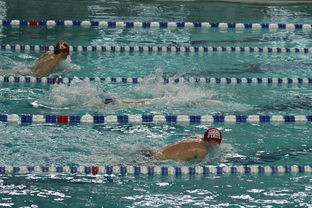 米兰体育平台登录入口-国际游泳精英赛中国队多人破纪录，国际游泳冠军系列赛