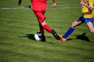 米兰体育app官方下载-意甲国家队比赛后俱乐部球员适应机制研究,意甲 球员